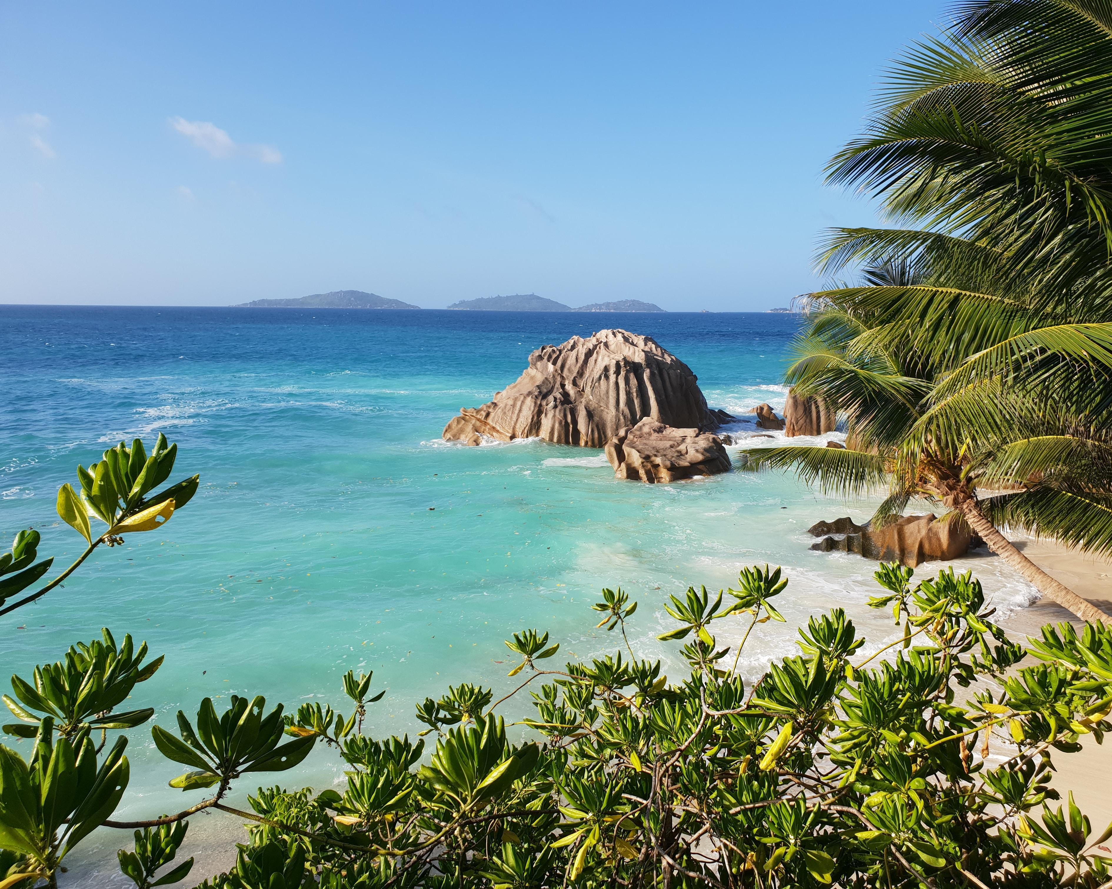 Bild zur Reise: Mahé, Motoryacht Inselhopping Seychellen (4 Nächte) & Baden Praslin (Reise-ID: 54653015)
