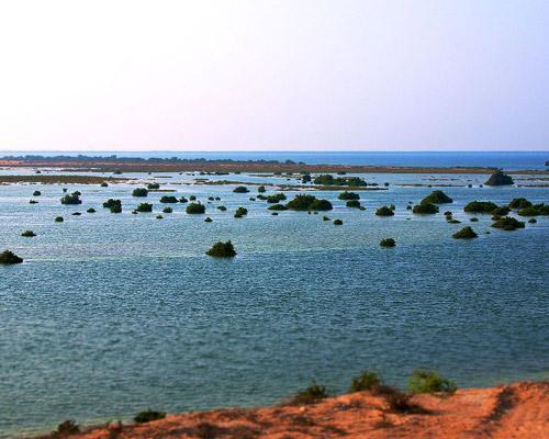 Bild zur Reise: Dubai inkl. Buggy Wüstentour & Baden im Emirat Ras al Khaimah (Reise-ID: 7690851)