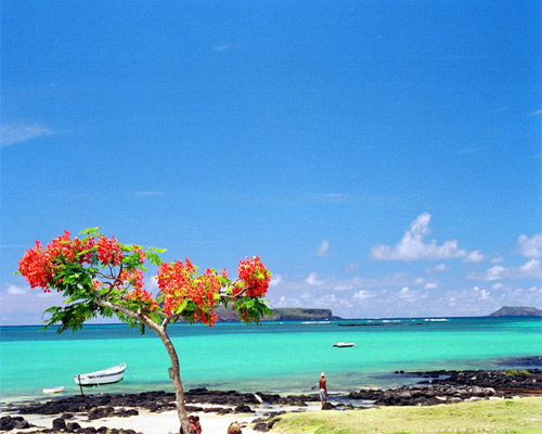 Bild zur Reise: Mauritius - von Süd nach Nord inklusive Mietwagen (Reise-ID: 273920)