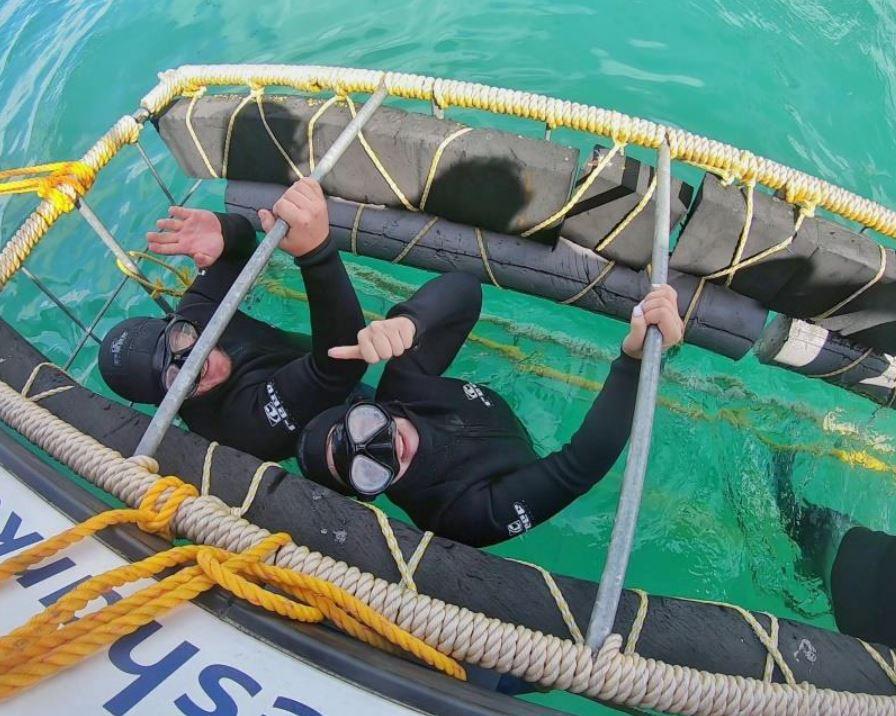 Bild zur Reise: Mit Haien tauchen in Kapstadt & Baden auf Mauritius (Reise-ID: 9349773)
