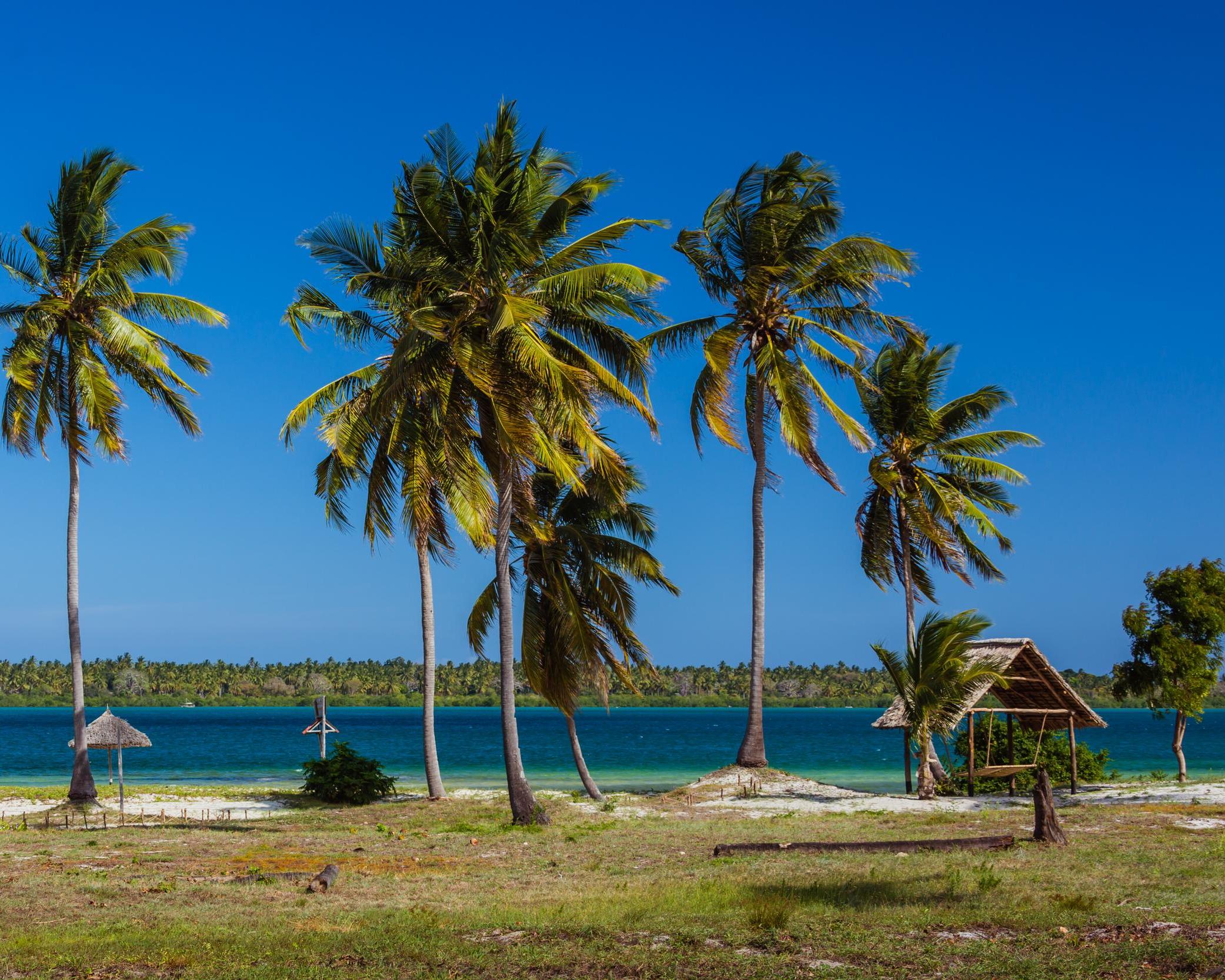 Bild zur Reise: Tansania mal anders: Dar es Salaam und Mafia Island (Reise-ID: 4848841)