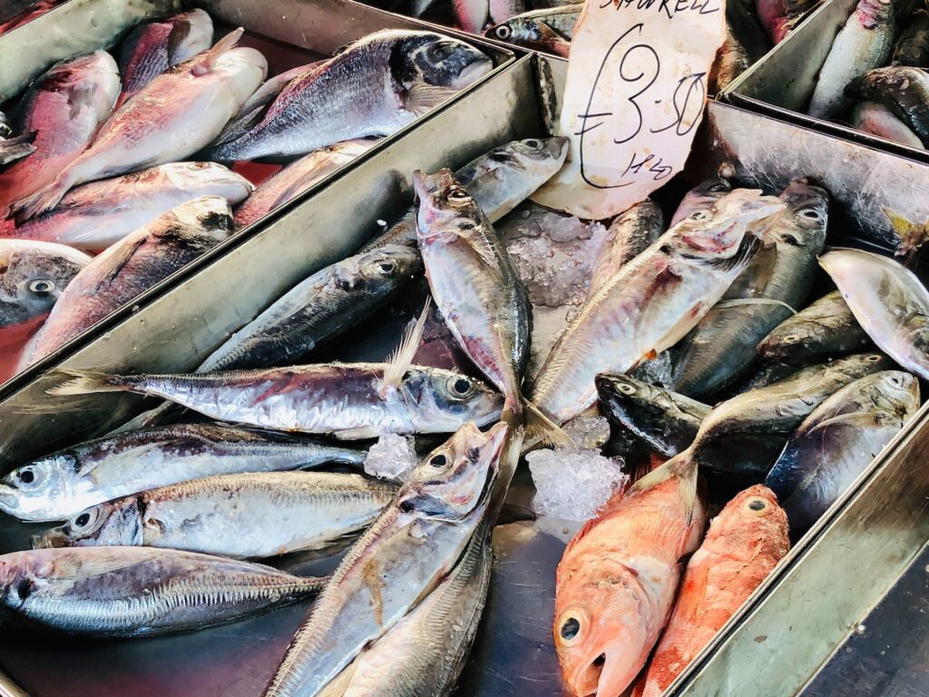 Frischer Fisch auf Malta