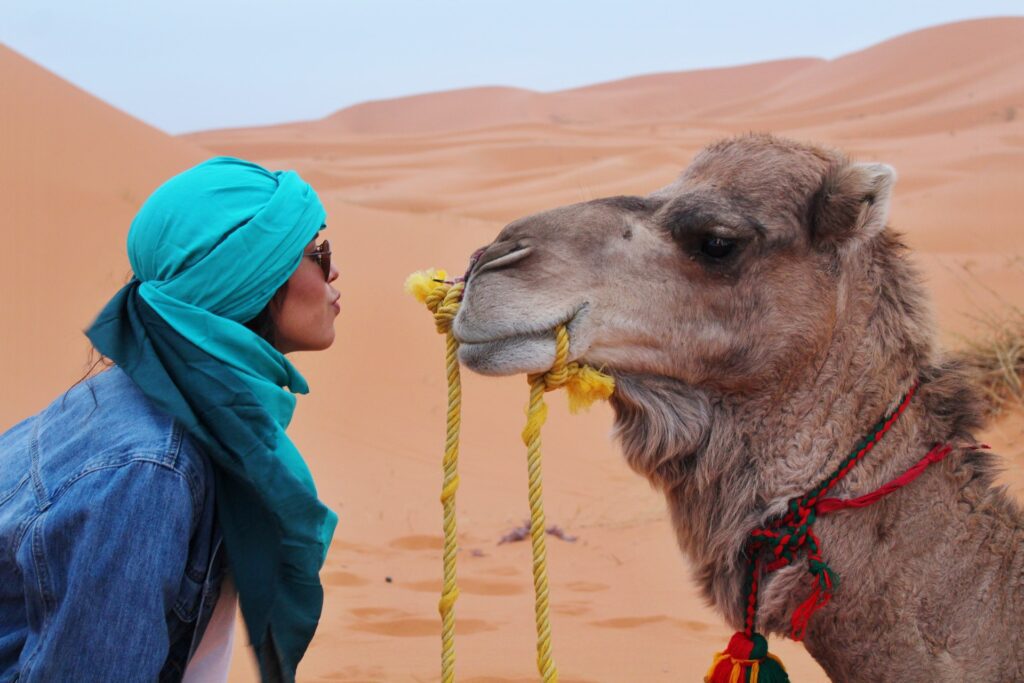 Marokko, Kamelreiten
