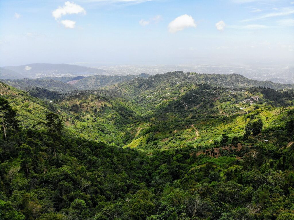 Blue Mountain, Jamaica